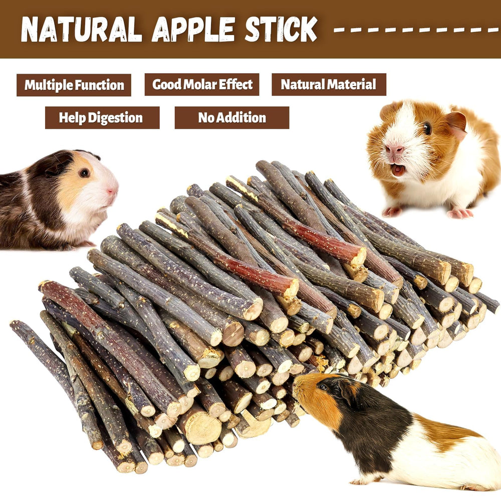 A small animal chews WYOMER apple sticks for daily enrichment.
