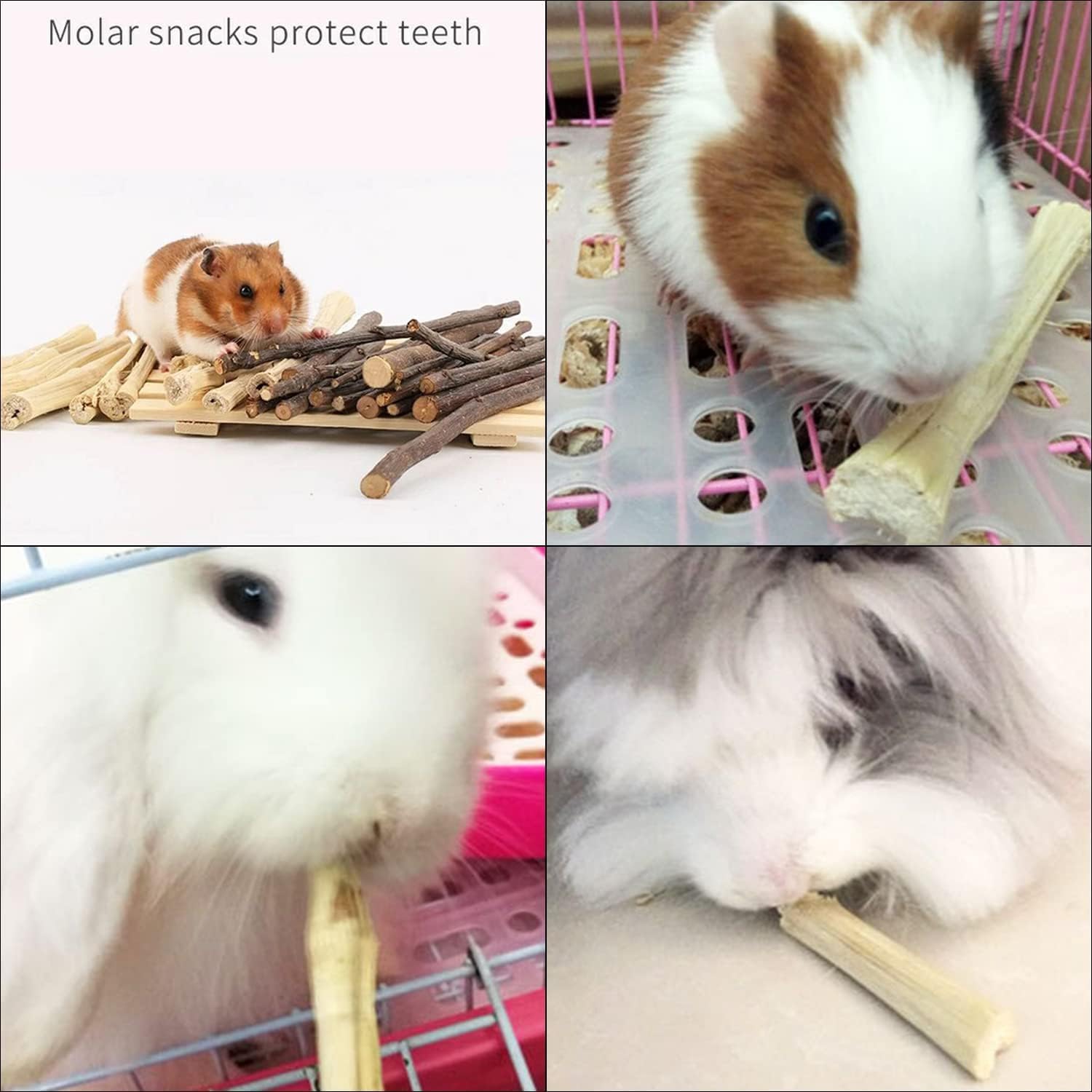 WYOMER durable-chew-toy-rodents image suggests long-lasting play and gnawing.