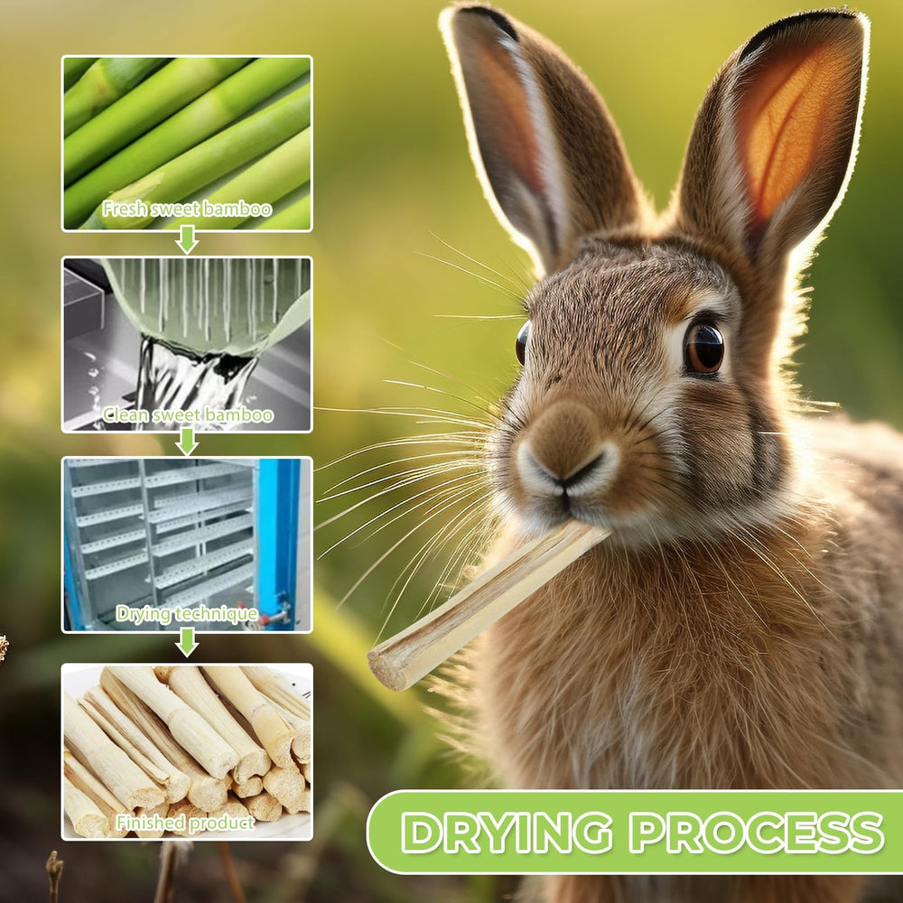 WYOMER Sweet Bamboo Chew Toy guinea-pig ready-to-chew promotes natural play