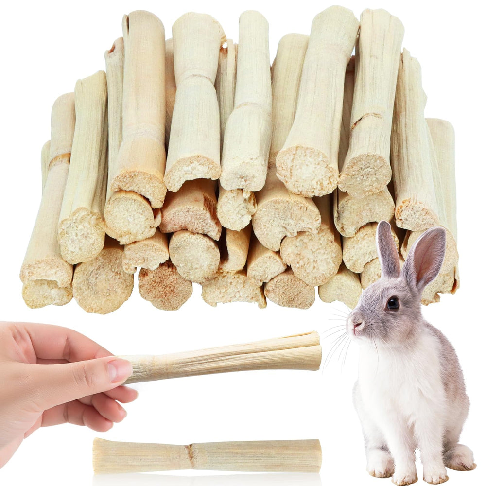 WYOMER Sweet Bamboo Chew Toy packaging highlights natural material for pet snacks