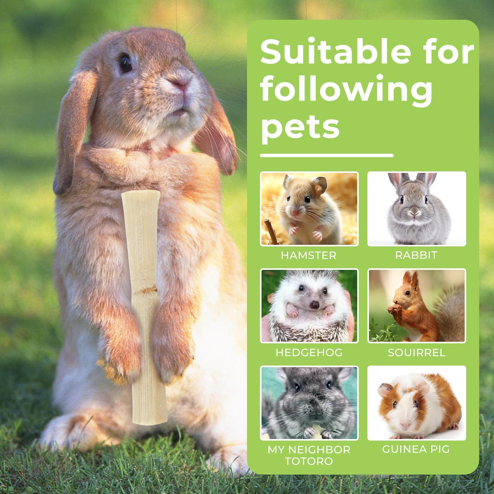 WYOMER Sweet Bamboo Chew Toy parrot hamster use-friendly treats alternative