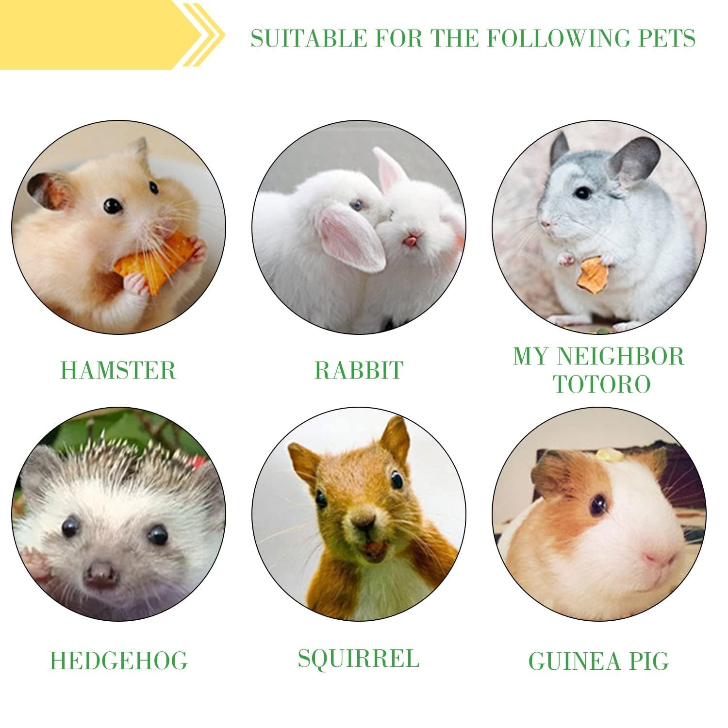 WYOMER sweet-tasting-chew image signals appealing flavor during playtime.