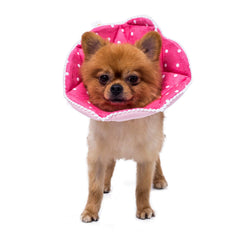 WZ PET adjustable pink small cone shown from side view for post-surgery protection