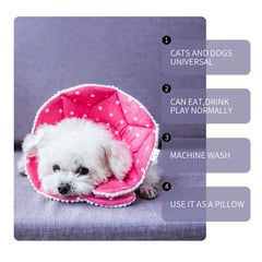 WZ PET comfort cone for dogs and cats reduces irritation