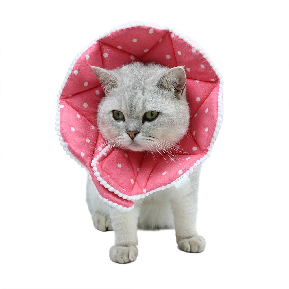 WZ PET small pink recovery cone supports puppy and kitten care