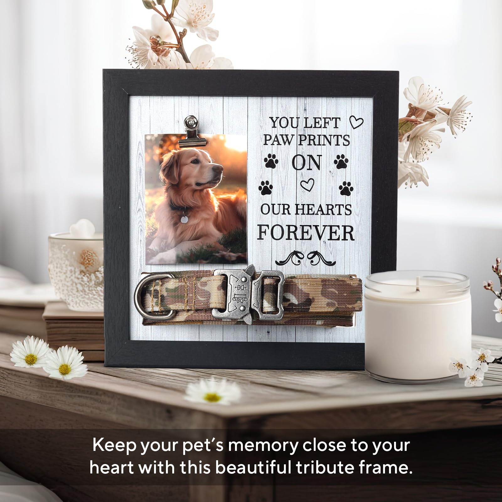 X-partner Memorial Frame displays photo and collar for a touching keepsake