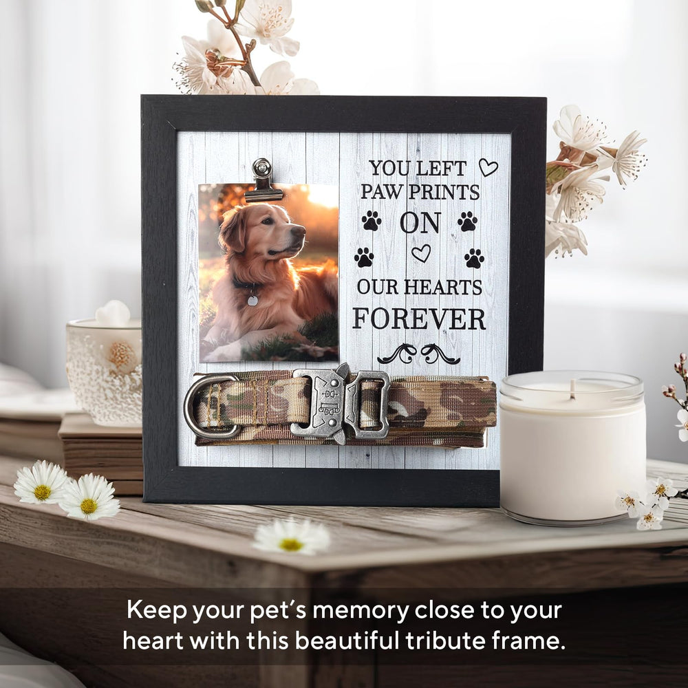 X-partner Memorial Frame displays photo and collar for a touching keepsake