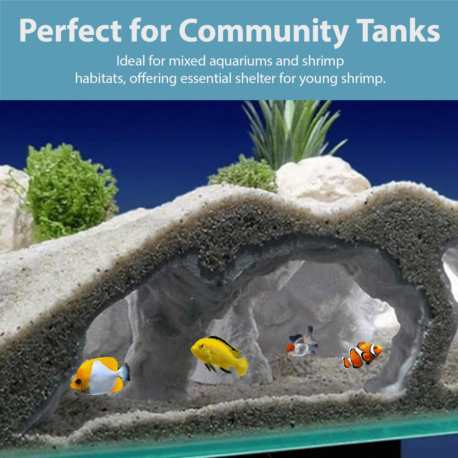 Xanadued cueva acuario estable, diseño seguro para uso comunitario.