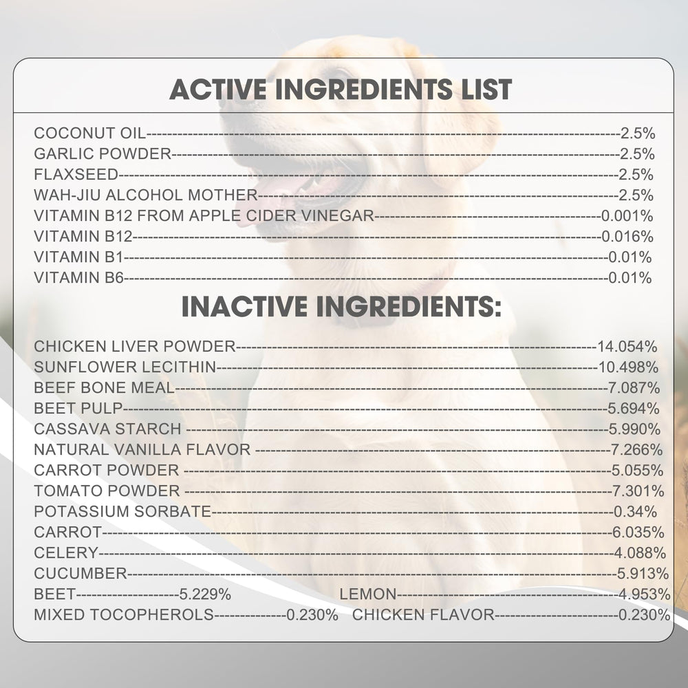 Xaninp dog chewing scene demonstrates easy-to-chew payoff for skin and coat support
