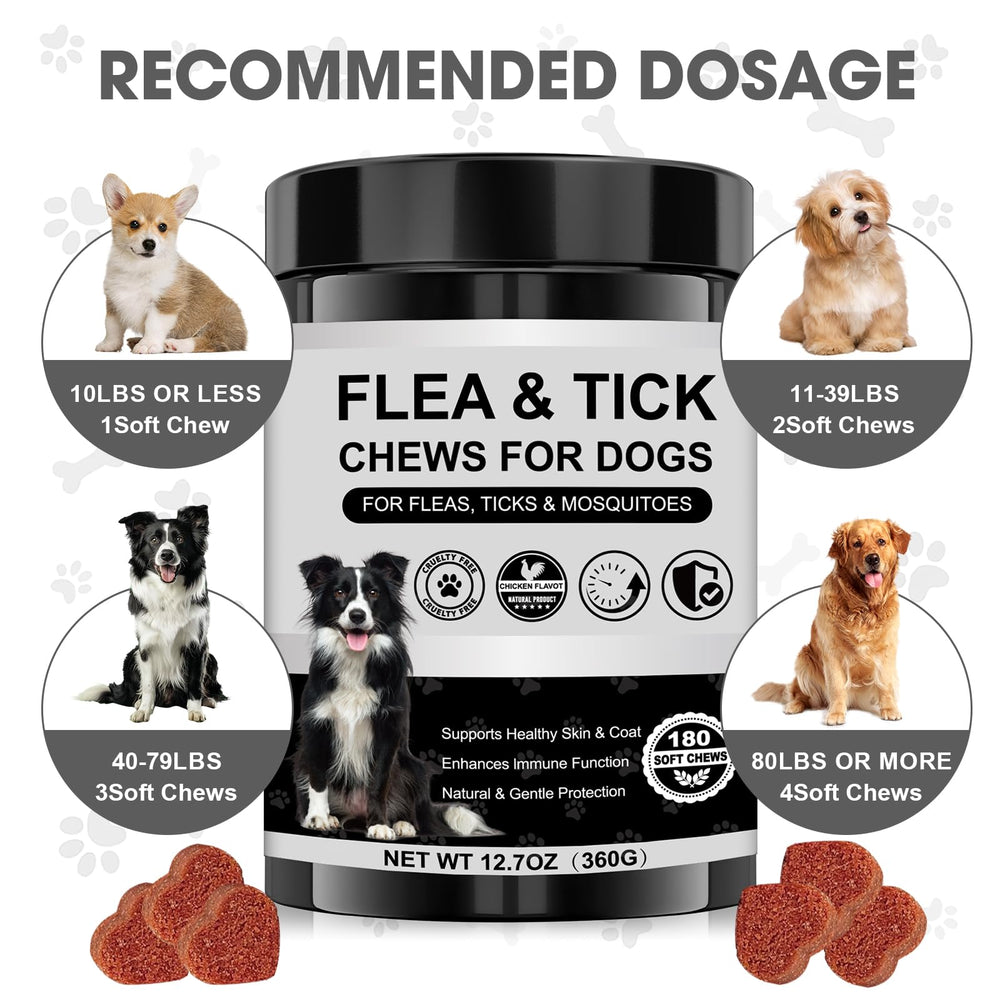 Xaninp glossy coat image hints at potential shine and seasonal comfort