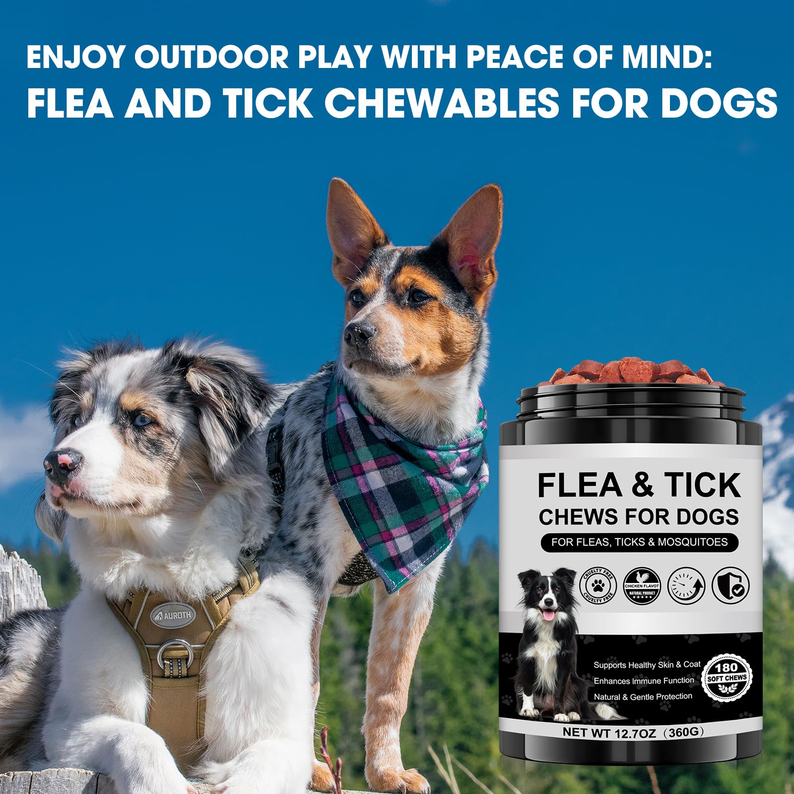 Xaninp outdoor-walk scene suggests dog wellness during outdoor adventures