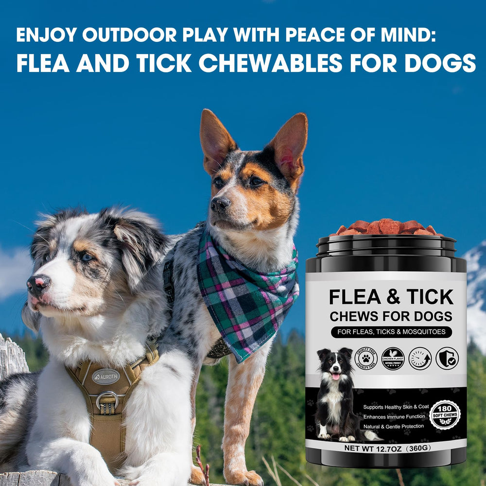 Xaninp outdoor-walk scene suggests dog wellness during outdoor adventures