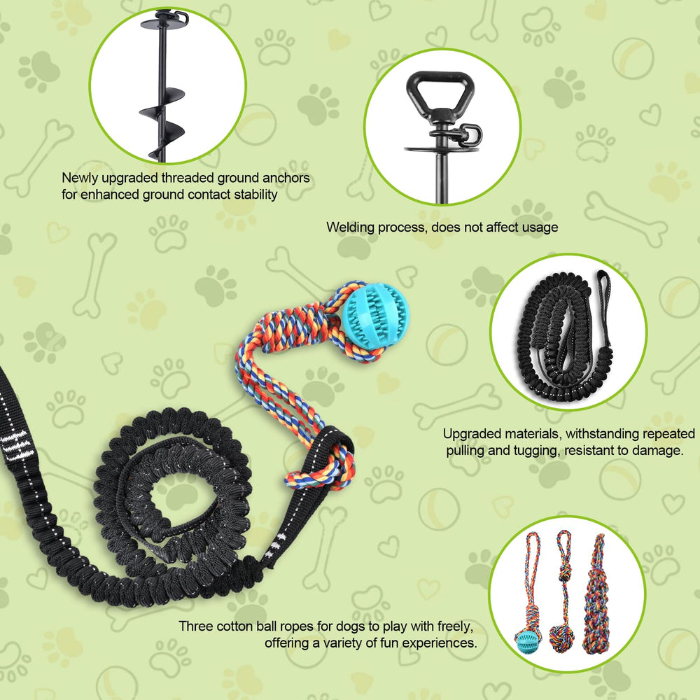 Xaninp Tether Tug outdoor play scene shows dogs enjoying tug time