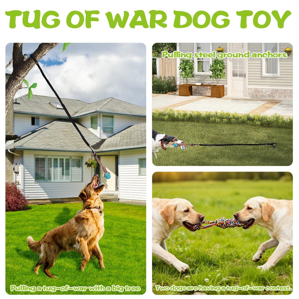 Xaninp Tether Tug red ball loop engages dogs with dynamic tug sessions