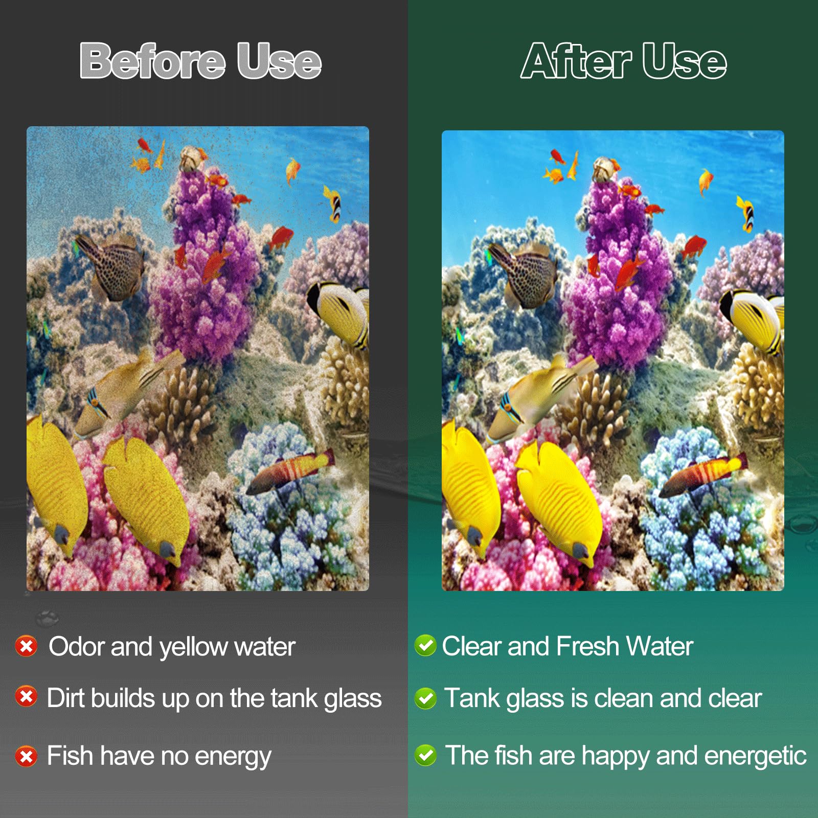xbbwmrs clear water after use demonstrates noticeable improvement in aquarium clarity and fish comfort