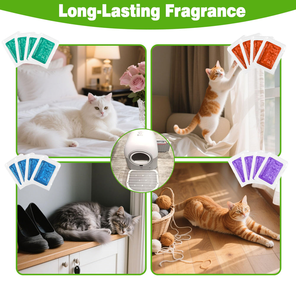 xcivi 4-scent set image showcases the four available scents