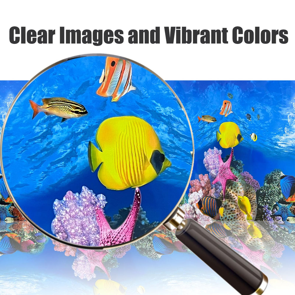 XCNO background hides hoses, tubes, filters, keeping focus on fish