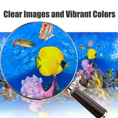 XCNO background hides hoses, tubes, filters, keeping focus on fish