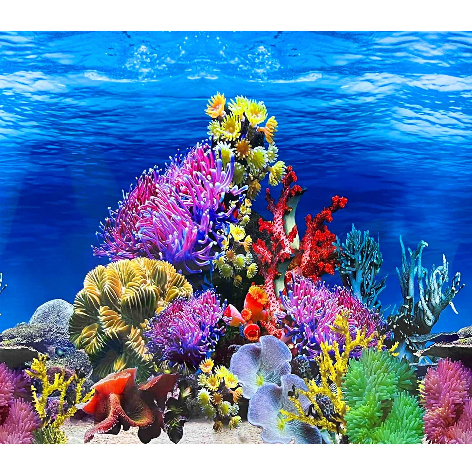 XCNO fish background lifelike undersea poster enhances tank realism.