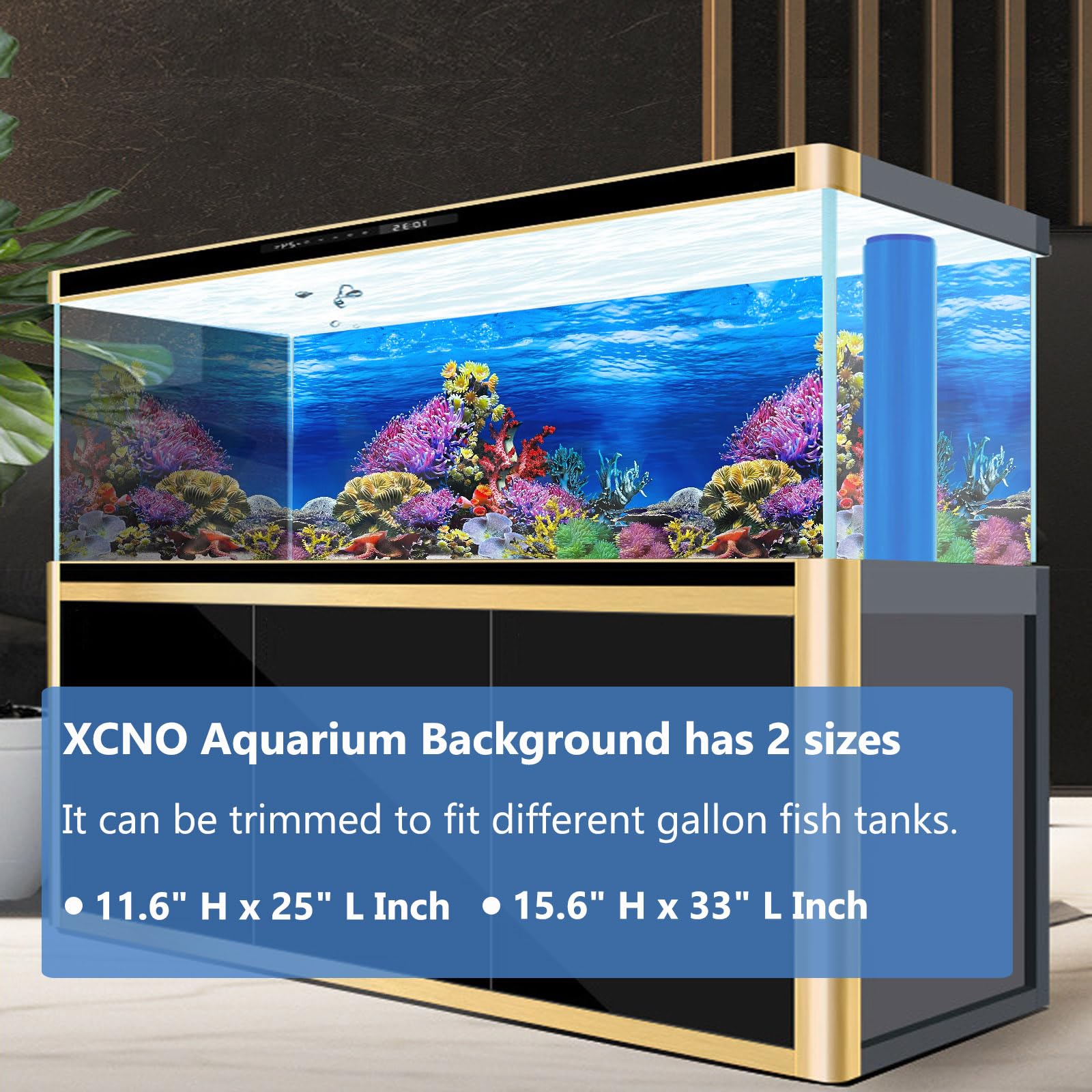 XCNO fish background colorful sea anemone scene boosts visual appeal.