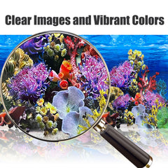 XCNO fish background detailed coral reef photo adds depth.