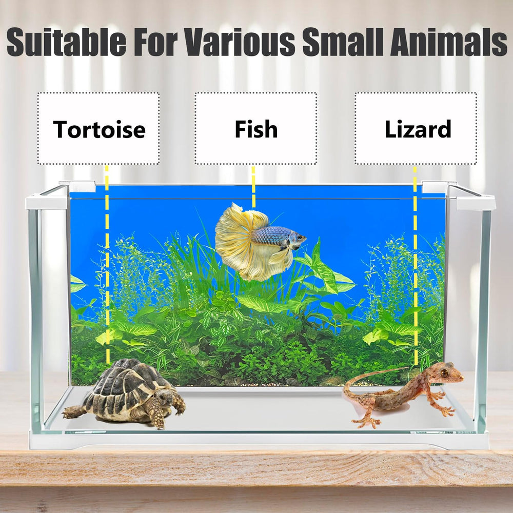 XCNO fish background hides hoses and equipment behind a seamless backdrop.