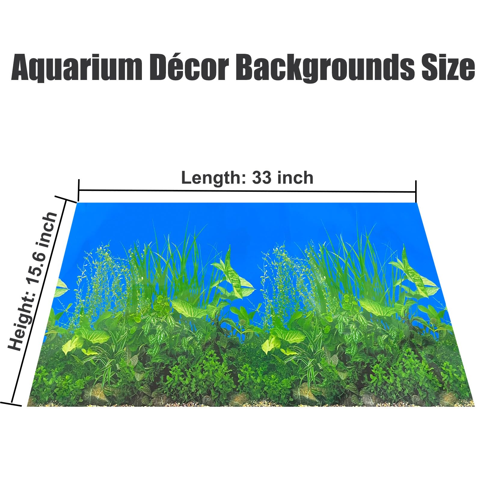 XCNO fish background waterproof non-glare surface maintains clarity.