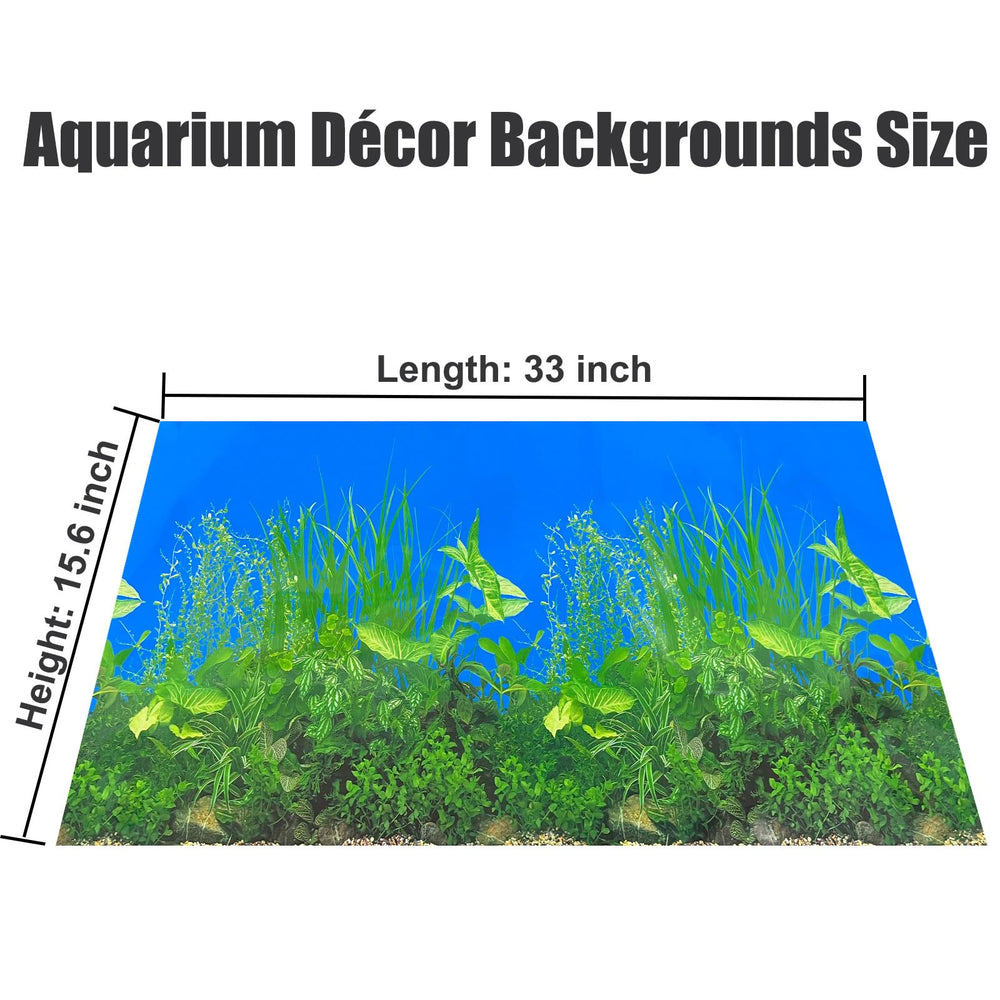 XCNO fish background waterproof non-glare surface maintains clarity.