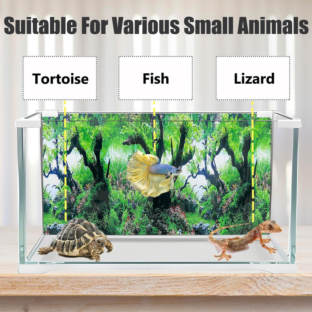 XCNO non-glare vinyl backdrop keeps tank viewing clear in bright light