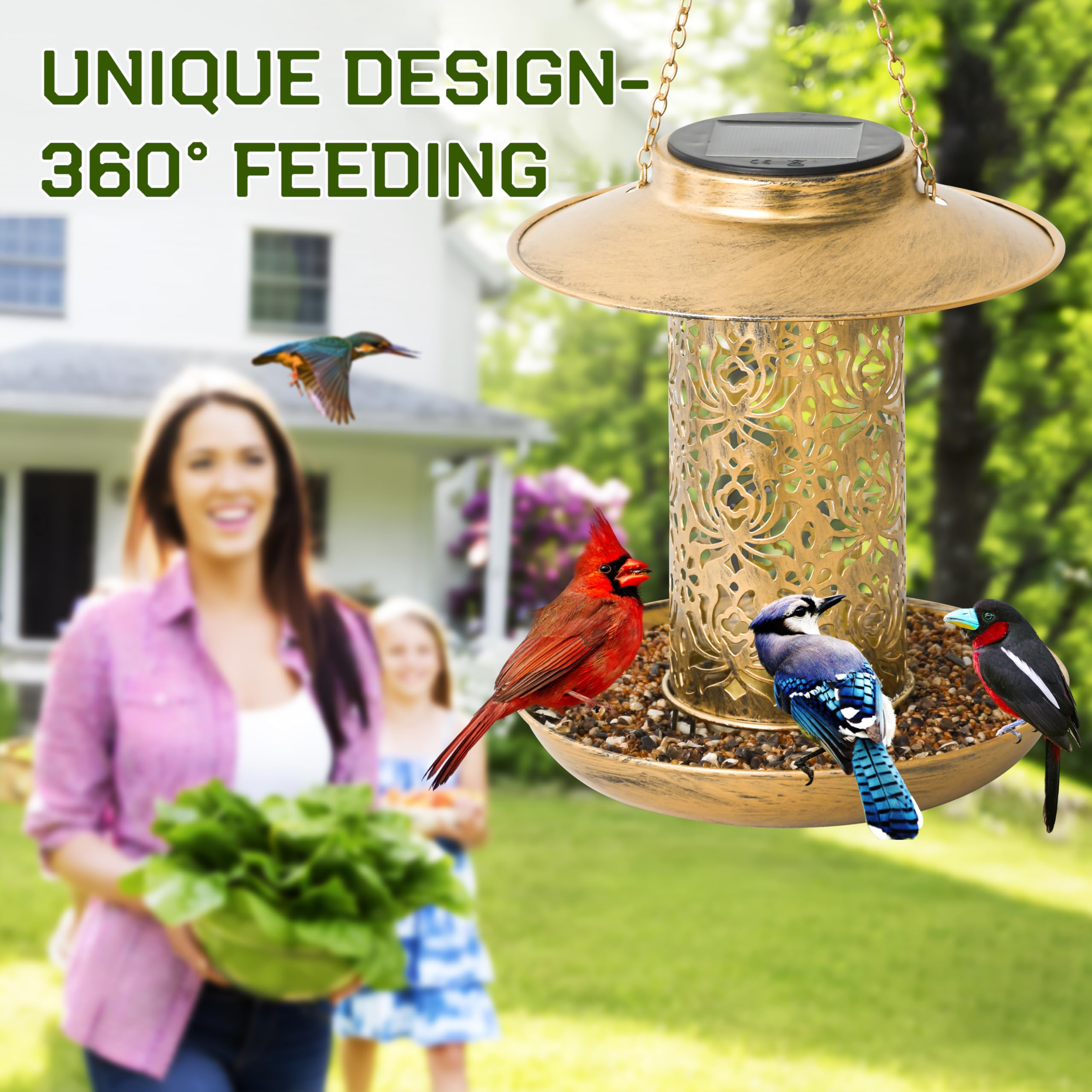 XDW-GIFTS large-capacity feeder reduces refills and supports busy bird visits.