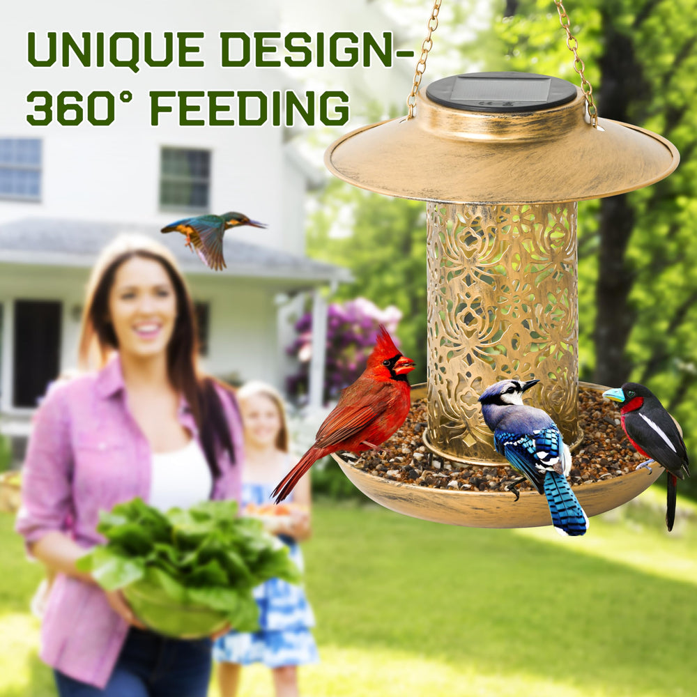 XDW-GIFTS large-capacity feeder reduces refills and supports busy bird visits.