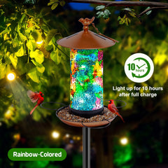 XDW-GIFTS feeder perches and tray support multiple birds with accessible feeding