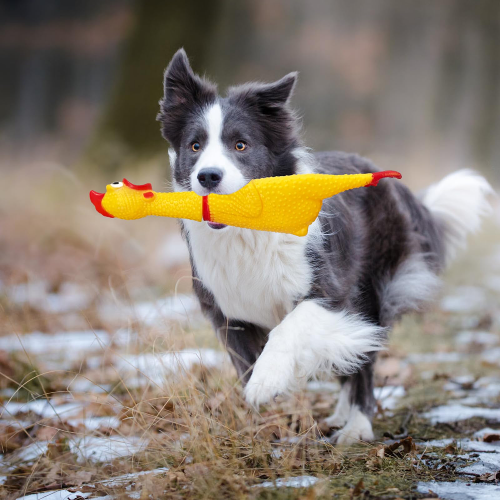 Xeehwb rubber chicken dog-training use suitable for rewards