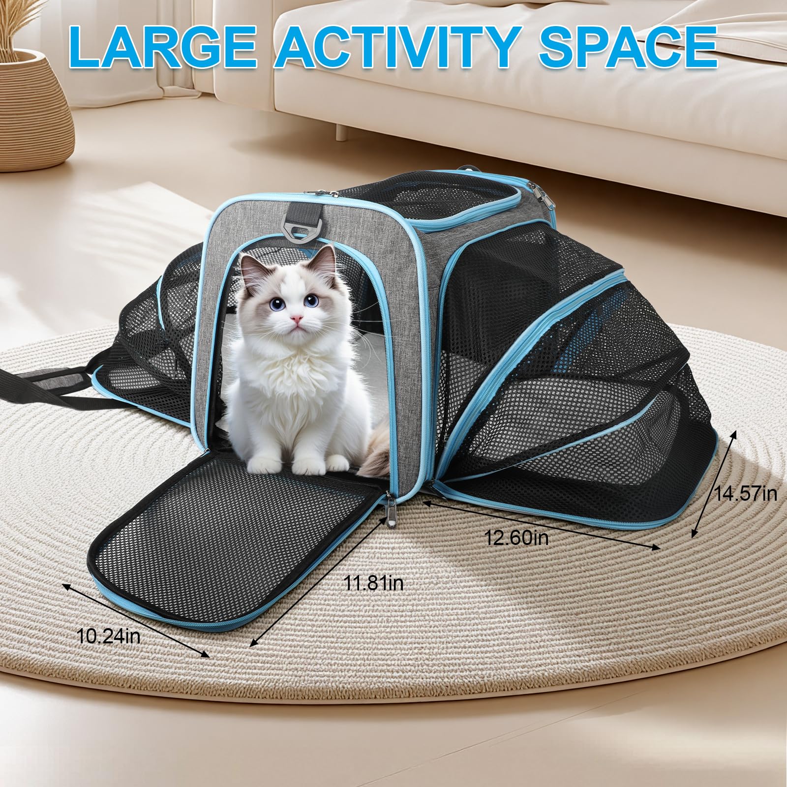 Xeoca pet carrier removable wheels convert to soft-sided carry for daily use.