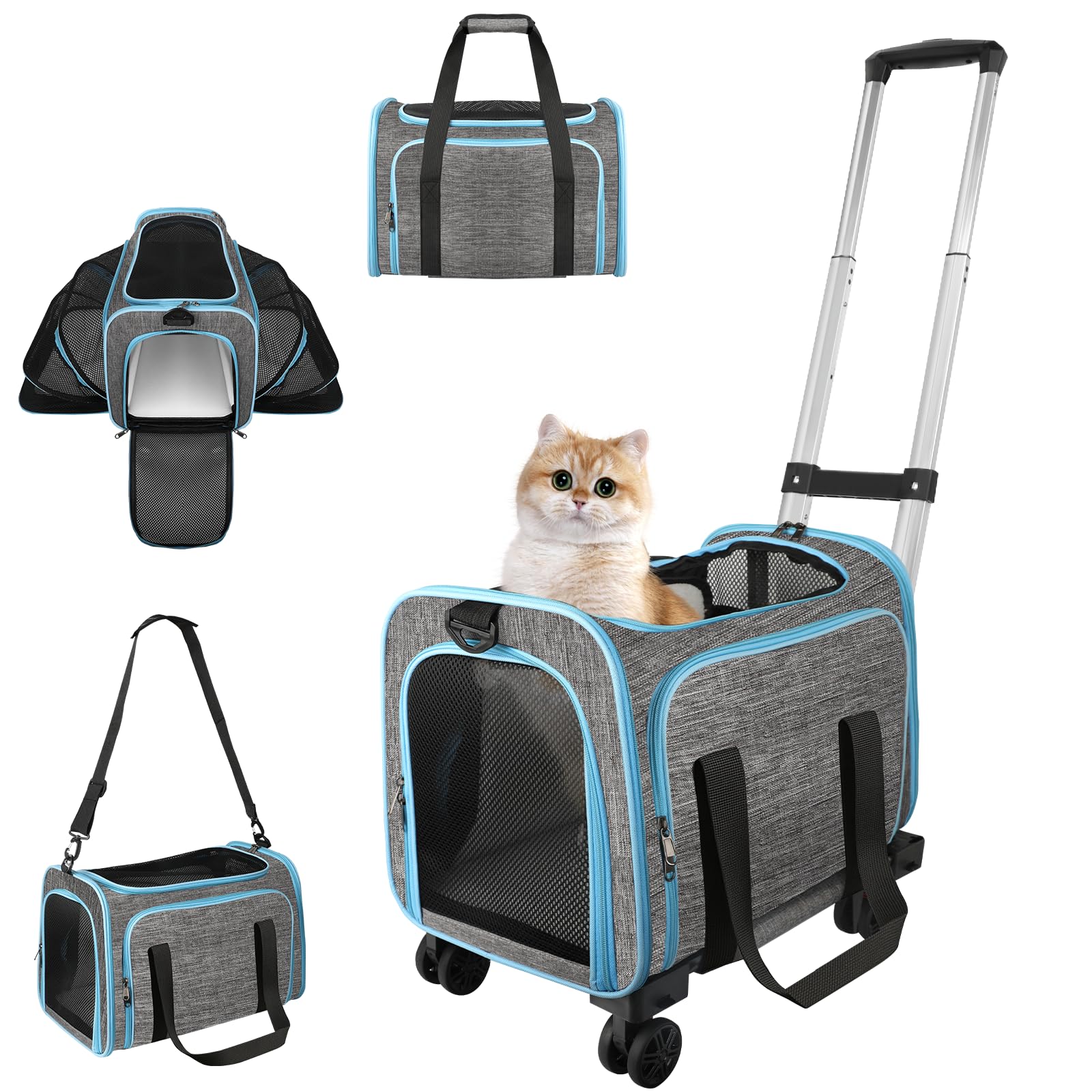 Xeoca pet carrier with wheels under-seat design enables easy airline travel.