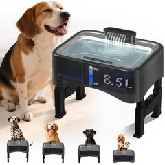 Xetino elevated dog water fountain offering ergonomic drinking height for dogs of all sizes.