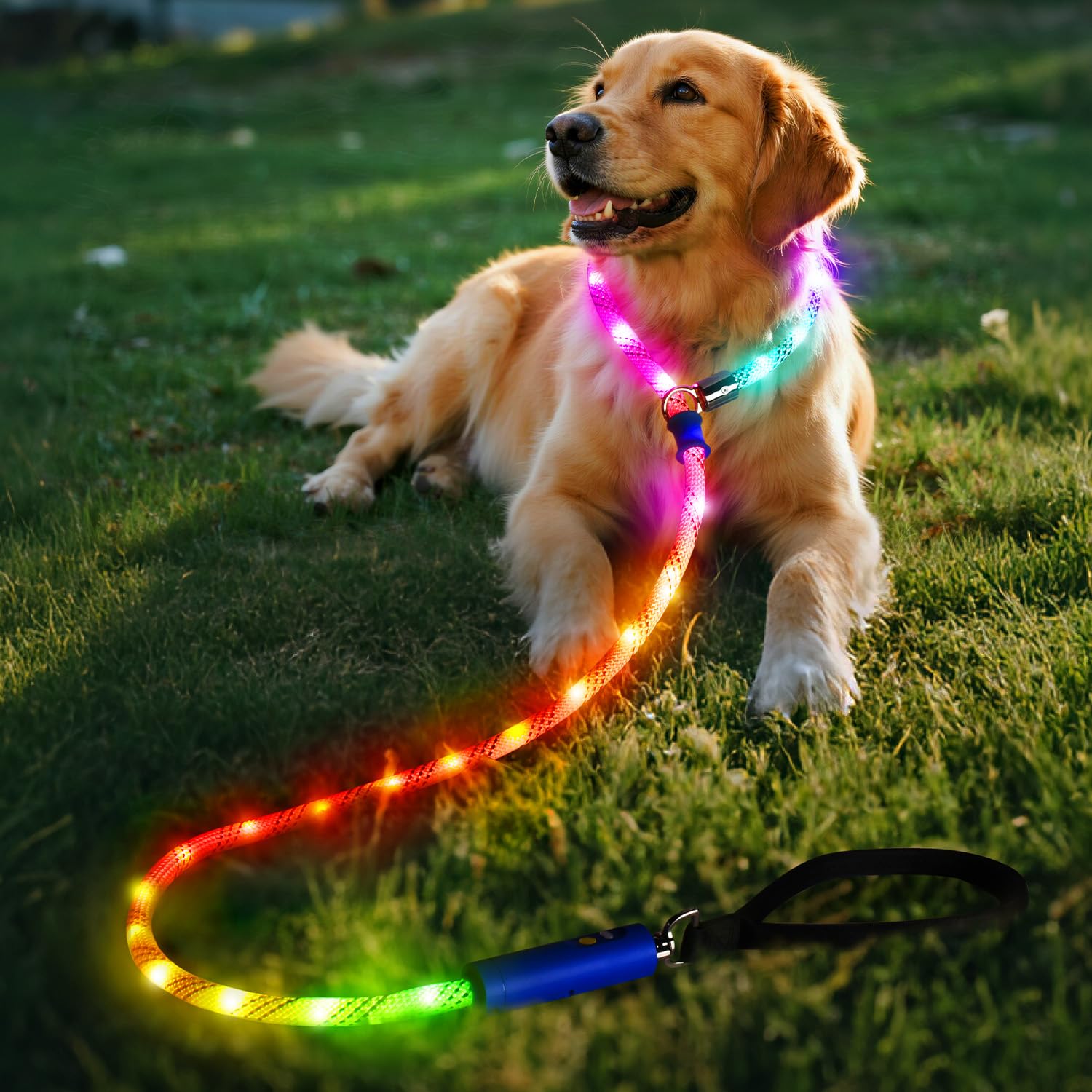 Xeuch 360° rotatable tangle-free hook prevents twisting during lively walks.