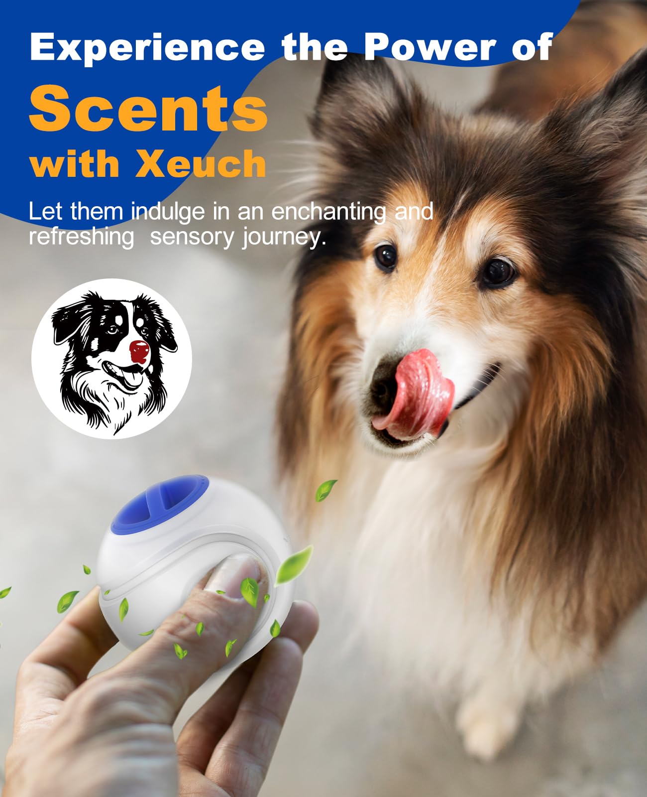 Xeuch LED dog ball blue waterproof rubber surface supports chew-friendly play.