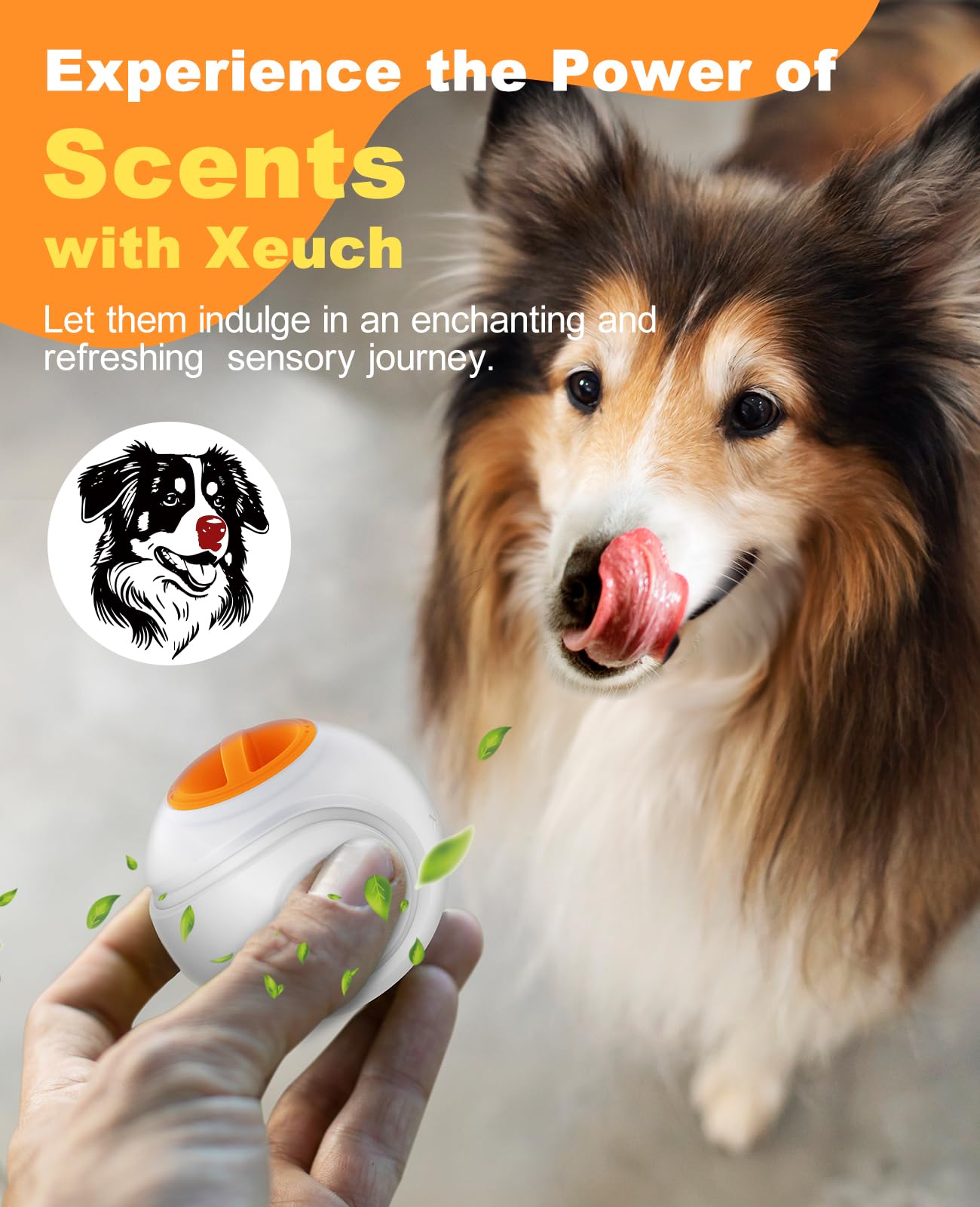 Xeuch LED dog ball orange night visibility helps you track playtime in low light.
