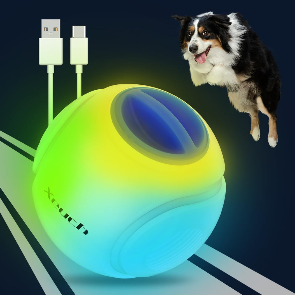Xeuch light-up dog ball blue front view for night visibility and easy retrieval.