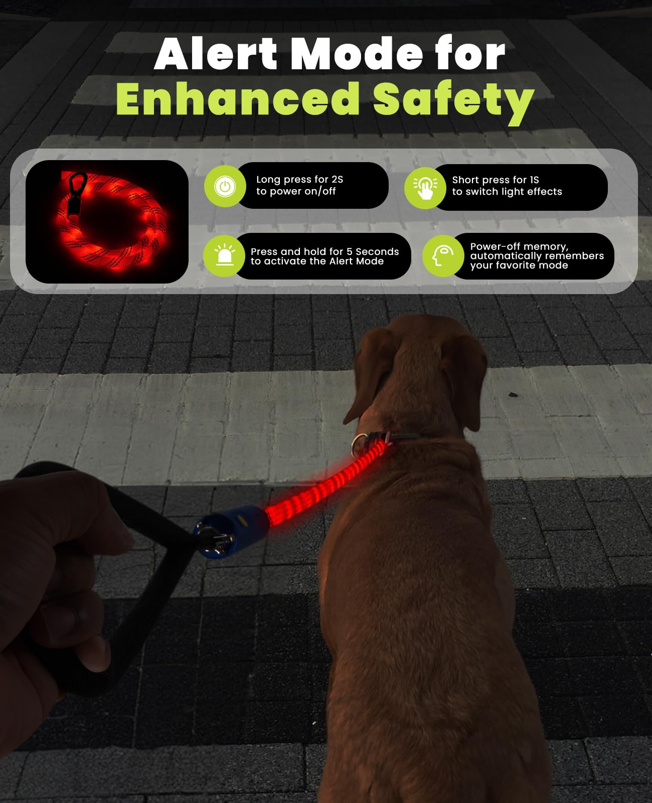 Xeuch leash provides 1000 feet visibility for safer night walking