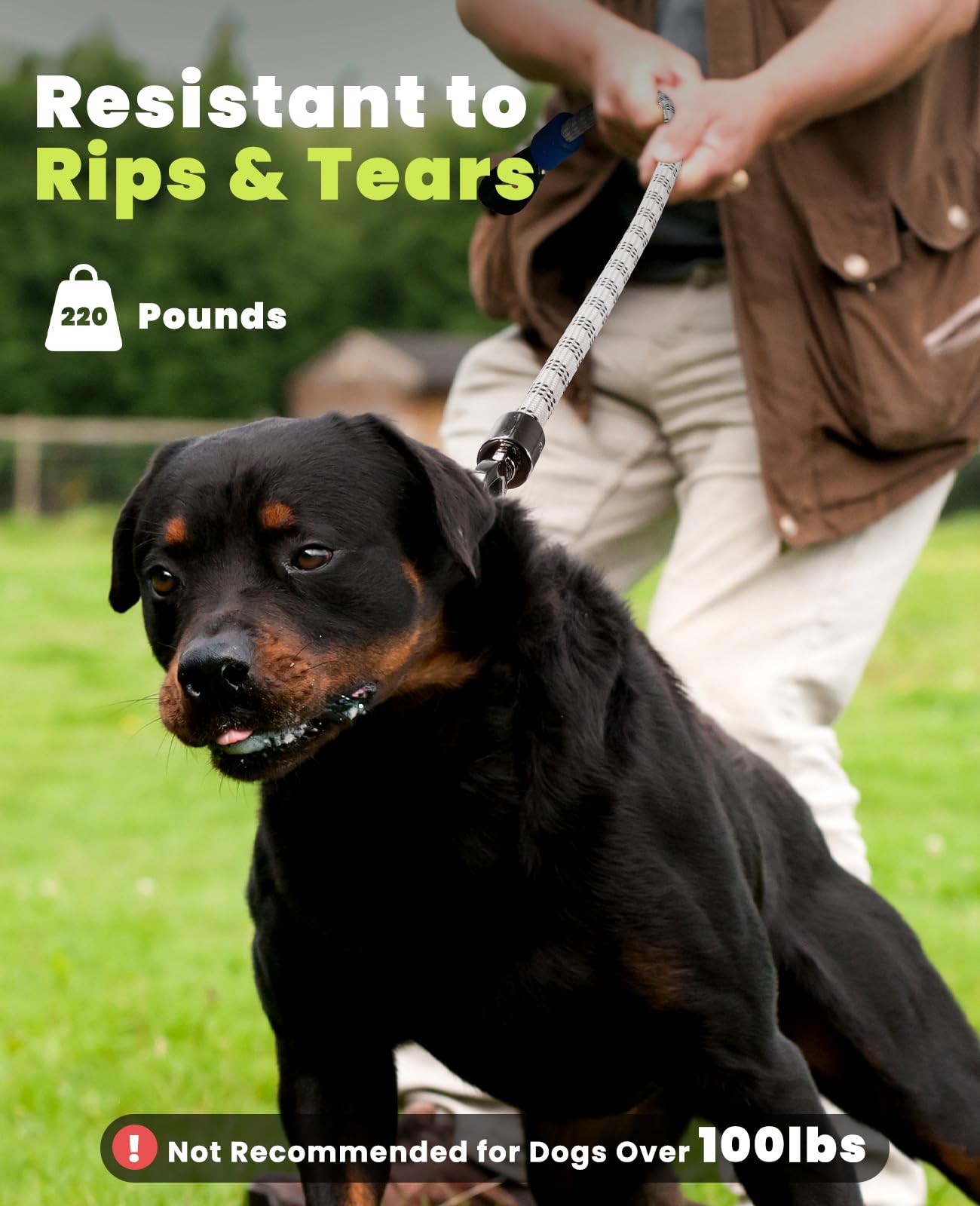 Xeuch leash offers 13 light modes for customizable walks