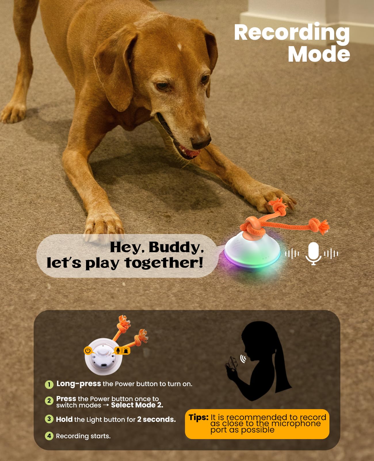 Xeuch motion-activated toy reacts to touch for chase-like fun