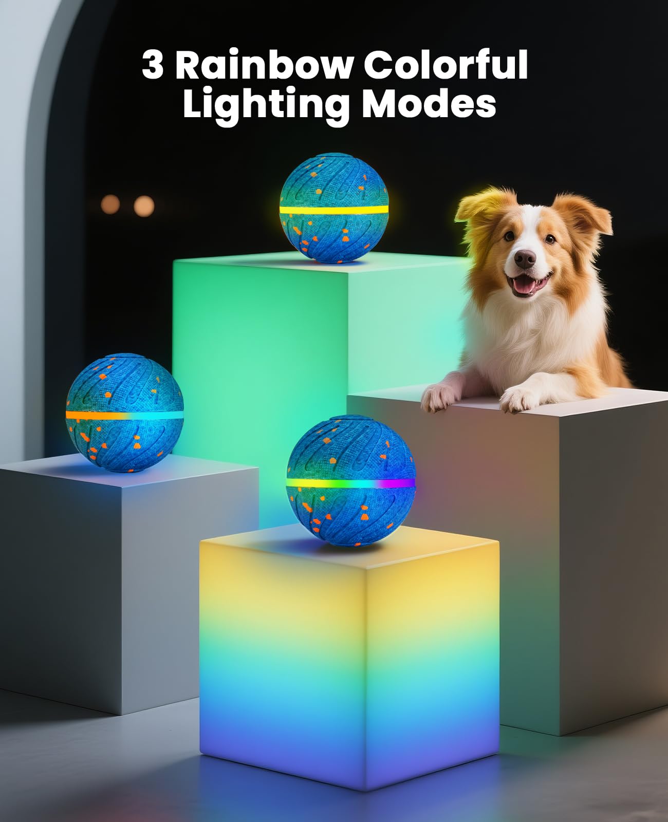 Xeuch RGB light system captivating pups during night fetch for extended play