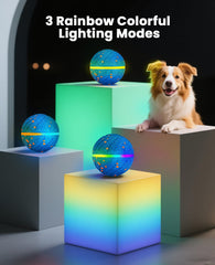 Xeuch RGB light system captivating pups during night fetch for extended play