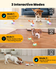 Xeuch Smart Dog Toy features removable silicone shell for easy cleaning and safety.