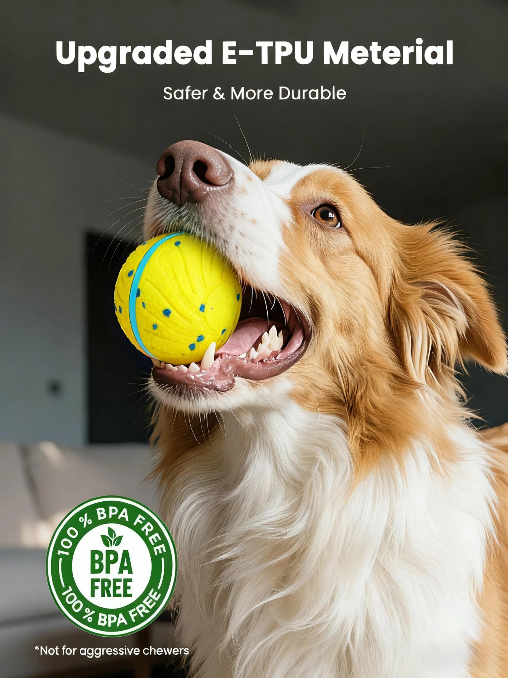 Xeuch Smart Interactive Dog Ball in 3-mode operation for varied play.