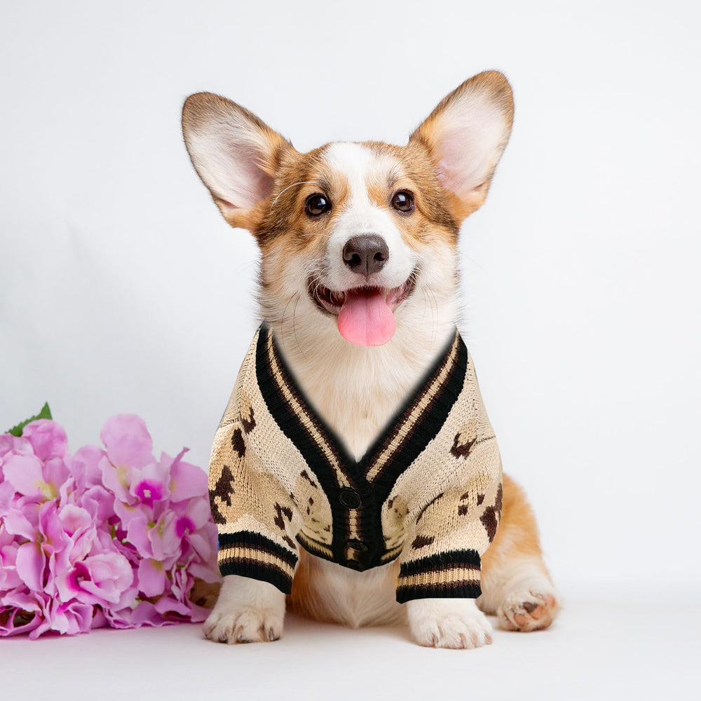 XGDMEIL dog wearing cardigan closeup shows skin-friendly knit.