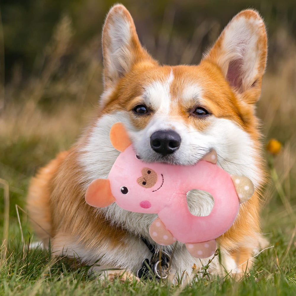 XGDMEIL rope toy 3 helps clean teeth with textured surfaces.