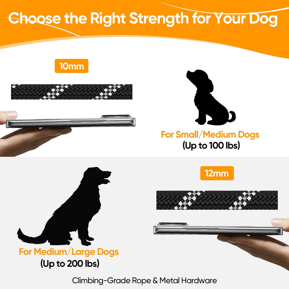 XiaZ double-leash in-use image highlighting seamless two-dog walks without tangling.